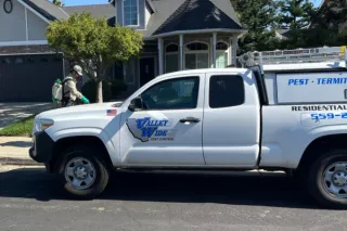 Why Summer Is the Time to Call in the Pros: The Importance of Hiring Pest Control Experts Like Valley Wide Pest Control