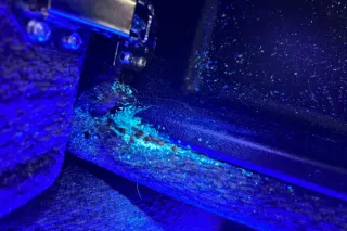 What Black Lights Reveal About Bed Bug Infestations in Your Home