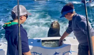 Creating Memories On The Open Water: The Allure Of Offshore Life