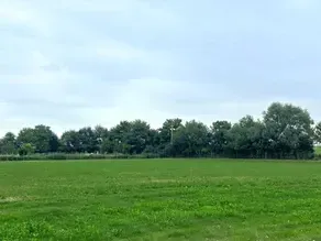Fantastic Secure Dog Fields Near Didcot for Off-Lead Freedom