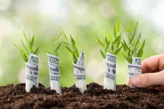 Will You Be Planting or Begging?