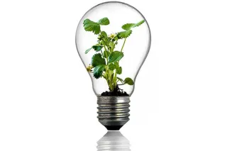 Harnessing The Earth's Natural Energy With Electroculture: A Farming Technology You Need to Try 