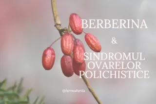Descoperă un aliat puternic în gestionarea Sindromului Ovarelor Polichistice: Berberina