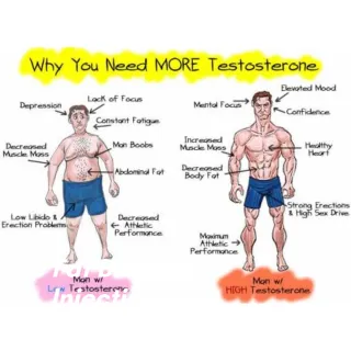 Do I have Low Testosterone?