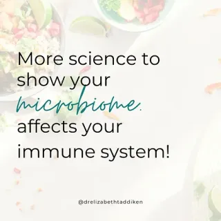 How Probiotics Support Immune Health