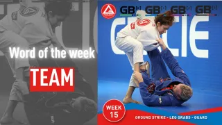 Weekly Breakdown for Week 15 – Ground Strike – Leg Grabs – Guard