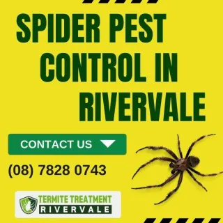 Spider Pest Control in Rivervale
