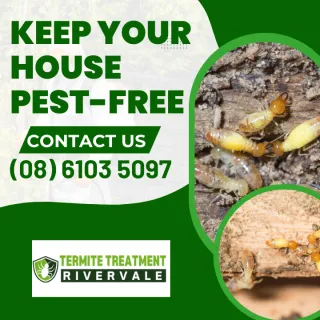 Keep Your Rivervale Garage Pest-Free – A Step-by-Step Guide to Effective Cleaning