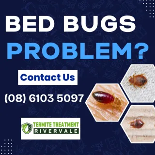 WHERE DO BED BUGS COME FROM?