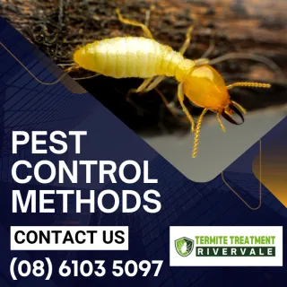 8 Pest Control Mistakes You Make