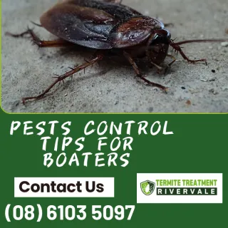 Pest Control Tips for Boaters