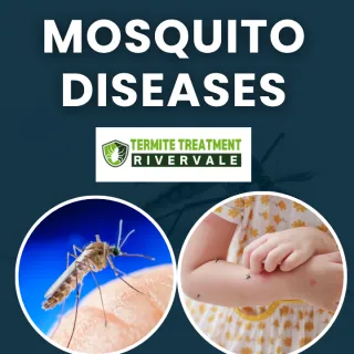 MOSQUITO DISEASES