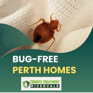 From Itch to Relief: Proven Bed Bug Eradication Home Services in Perth