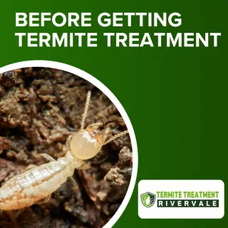 What You Should Know Before Getting Termite Treatment?