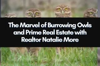 Discover Cape Coral, Florida: The Marvel of Burrowing Owls and Prime Real Estate with Realtor Natalie More