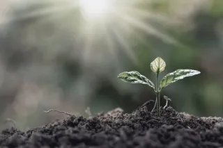 Reflecting on a Year of Growth and Wishing You a Merry Christmas