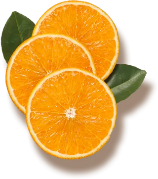 FAQ image