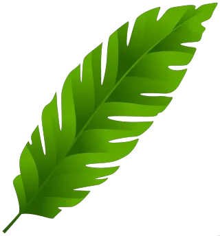 FAQ image