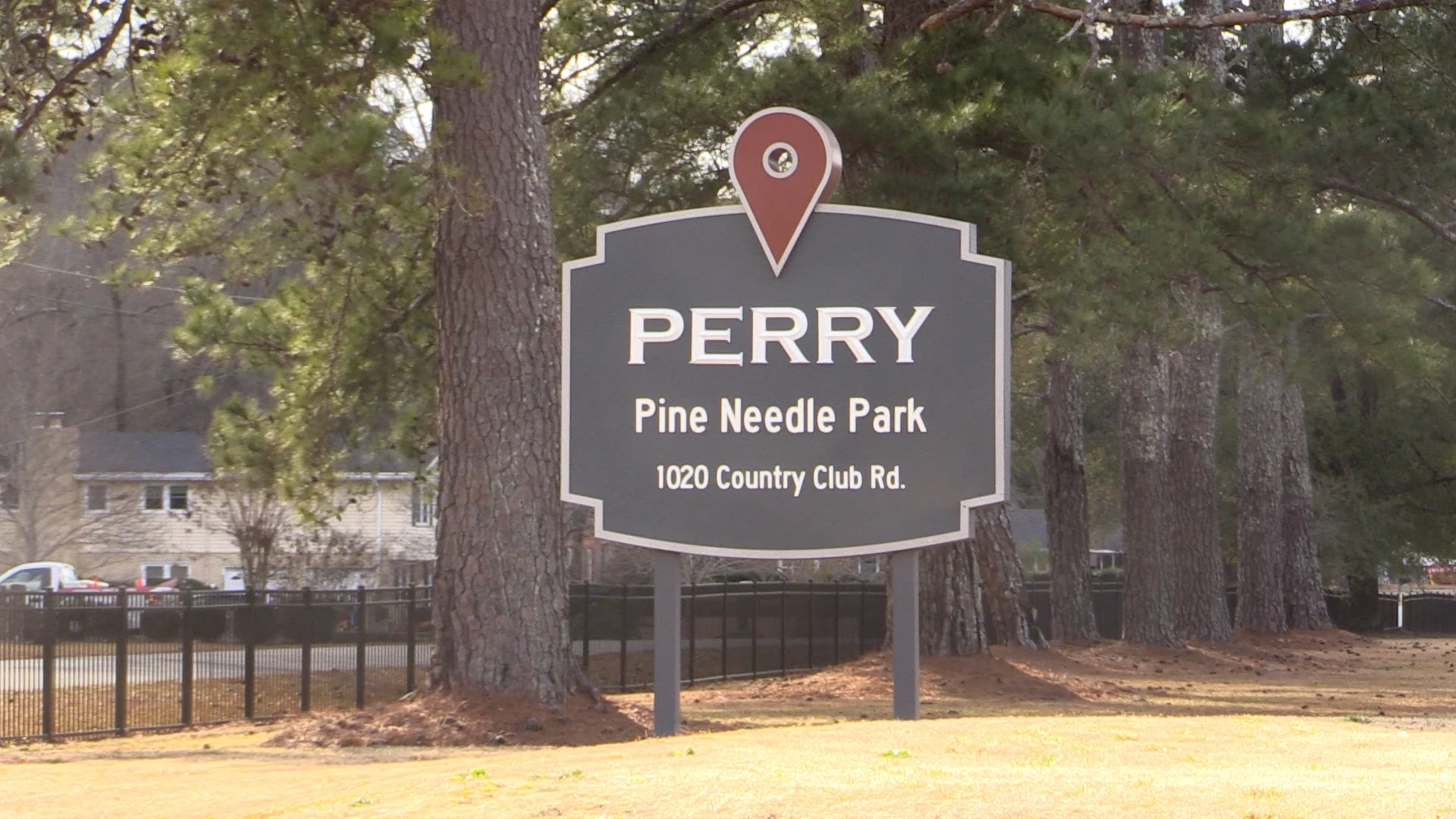 🌲Peace, Pines & Perry Vibes: Why Pine Needle Park Is the Hidden Gem You’ve Been Craving