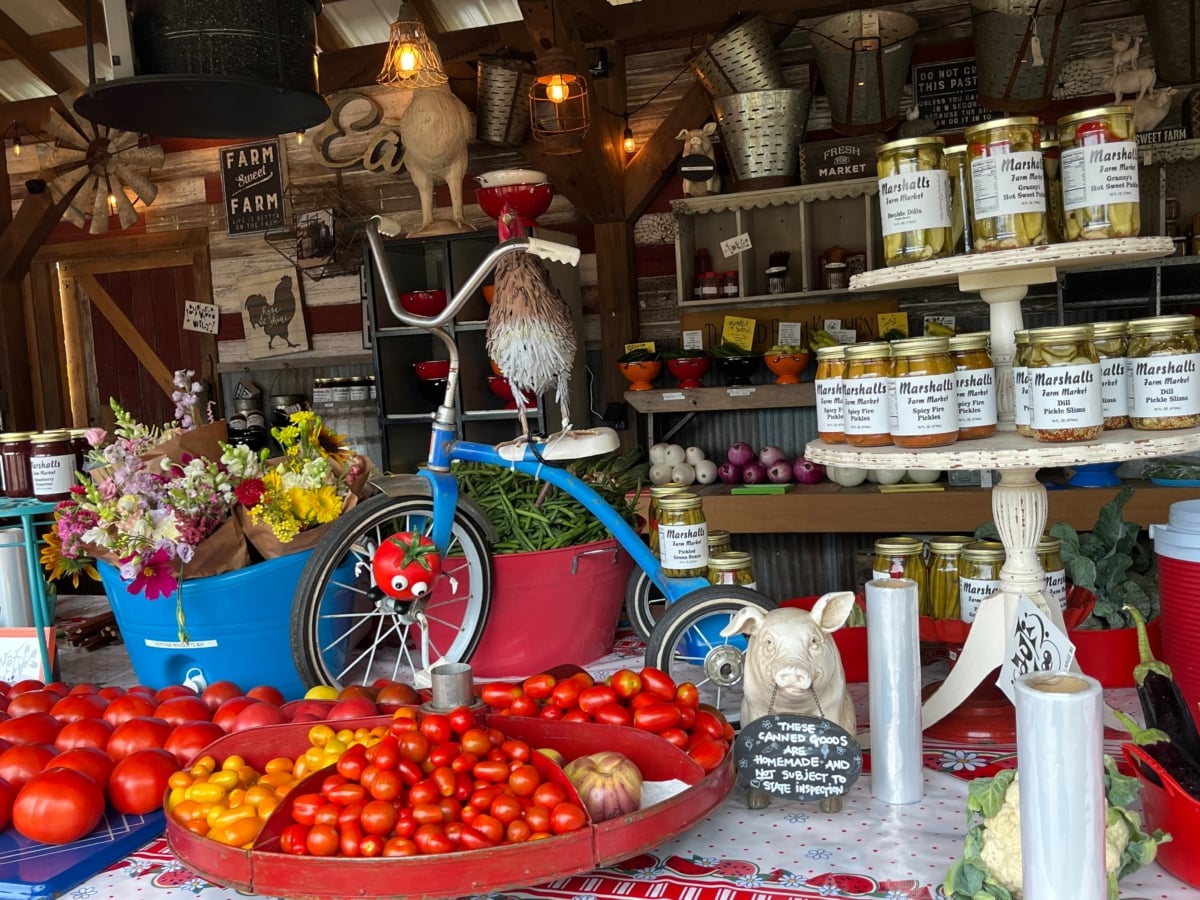 Fresh Finds and Farm Fun at Marshallville Farms Market | Perry, GA 🍅🌽