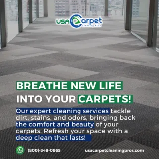Breathe New Life into Your Home with USA Carpet Cleaning Pros