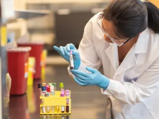 Phlebotomy Certification: What You Need to Know Before Starting Your Training