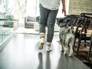 The Transformative Power of Walking 10,000 Steps a Day: A Personal Health Journey