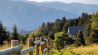 The Power of Retreats to Build Relationships and Business Success