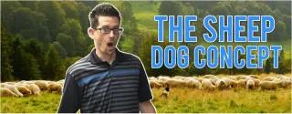 The Sheepdog Concept - Why Get a Concealed Weapons Permit?