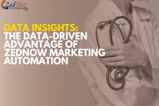 Data Insights: The Data-Driven Advantage of ZedNow Marketing Automation