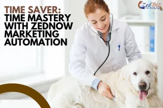 Time Saver: Time Mastery with ZedNow Marketing Automation