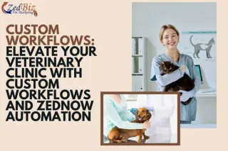 Custom Workflows: Elevate Your Veterinary Clinic with Custom Workflows and ZedNow Automation