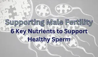 Supporting Male Fertility: 6 Key Nutrients to Support Healthy Sperm