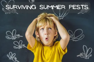 Bug Off! Natural Ways to Repel and Soothe Summer Insect Bites