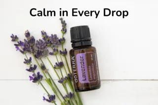 Lavender Oil for Skin, Hair, and Home