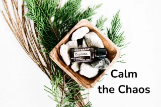 Copaiba Oil Every Day for Joint Pain, Calm, and Clarity