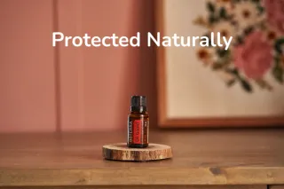 The Protective Power of On Guard