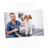 FAQ image