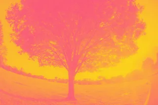 Design a Day That Nourishes, Not Depletes