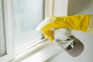 How to Clean Mould from Windows