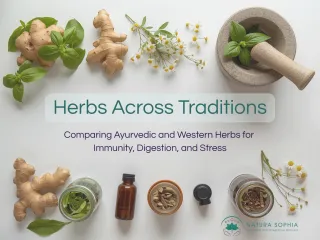 Herbs Across Traditions