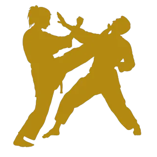 Krav Maga Vita