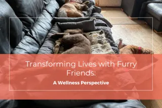 Transforming Lives with Furry Friends: A Wellness Perspective