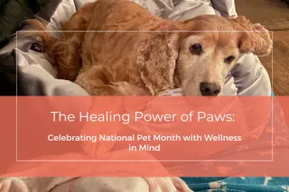 The Healing Power of Paws: Celebrating National Pet Month with Wellness in Mind