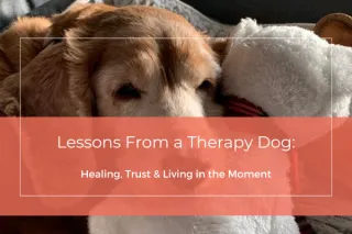 Lessons from a Therapy Dog: Healing, Trust & Living in the Moment