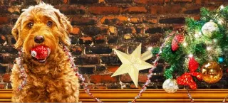 Holiday Safety Tips For Your Pets