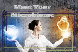 Meet Your Microbiome: The Unsung Heroes of Health