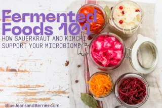 Fermented Foods 101