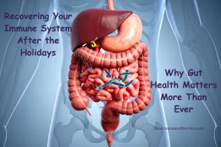 Recovering Your Immune System After the Holidays: Why Gut Health Matters More Than Ever