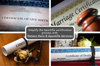 Apostille Services | Get Your Birth Certificate & Vital Records Certified 
